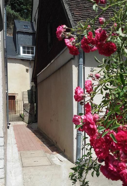 La Petite Lucette Villa Amboise Kültér fotó